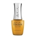 #2700348  Artistic Colour Gloss  " Wander With Me " ( Yellow Mustard Crème ) 1/2 oz.